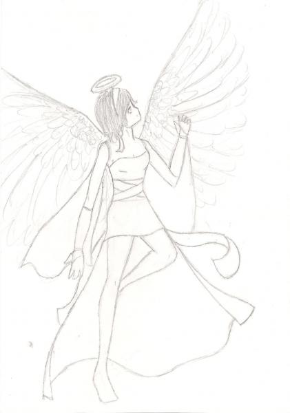 Novi Angel the.jpg