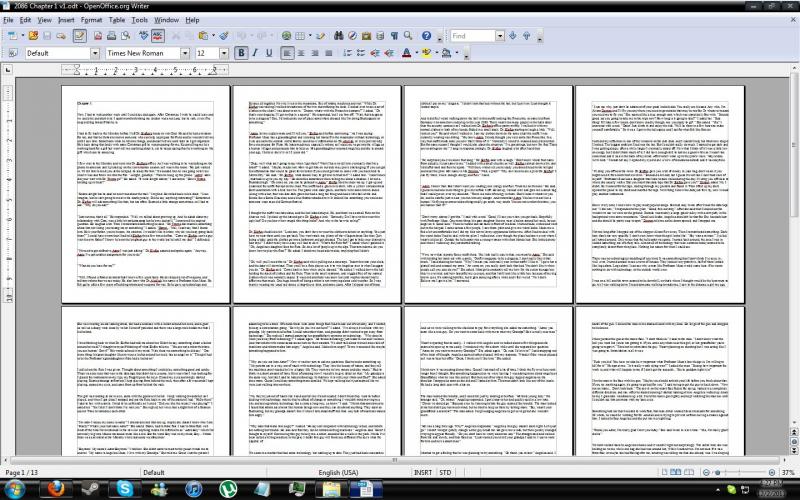 WTF Open Office.jpg