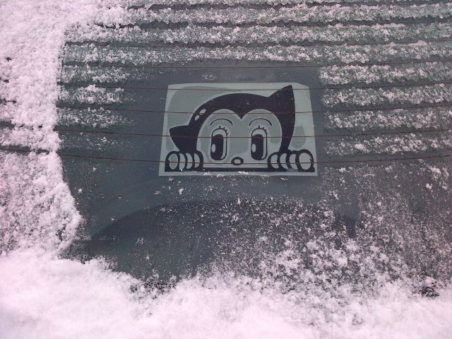 decal.jpg