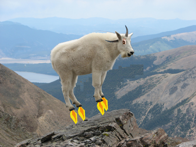 astro_goat_SM.jpg