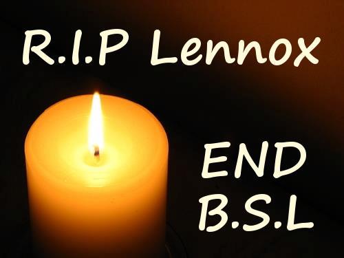 rip lennox.jpg