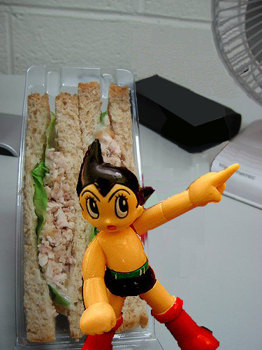 mysandwich.jpg