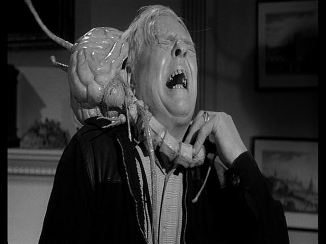 Fiend_face_235.jpg