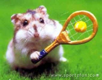 tennis-rodent_500_copyright.jpg
