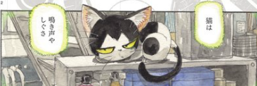 Ran Cat 1.png