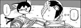 Ran Cat 3.png