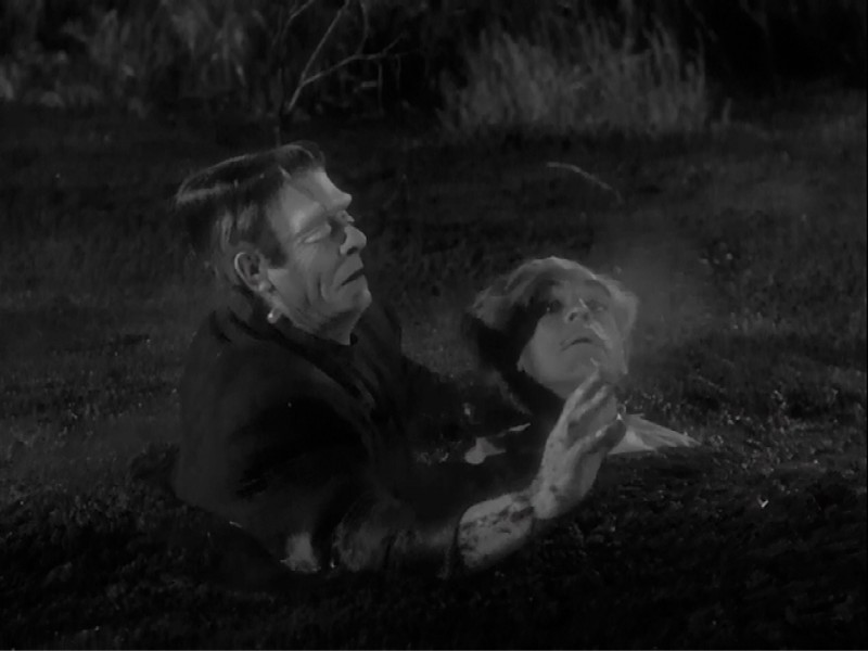 HOUSE OF FRANKENSTEIN Q1 800-600.jpg
