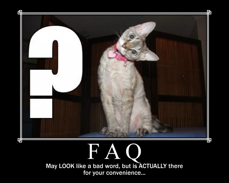 FAQ_MOT.jpg