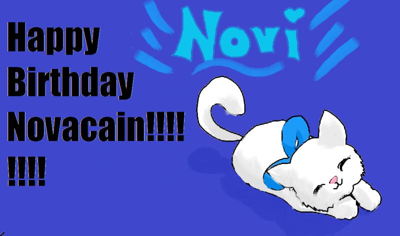 Novi's Birthday.jpg