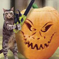 evil-pumpkins-04.jpg